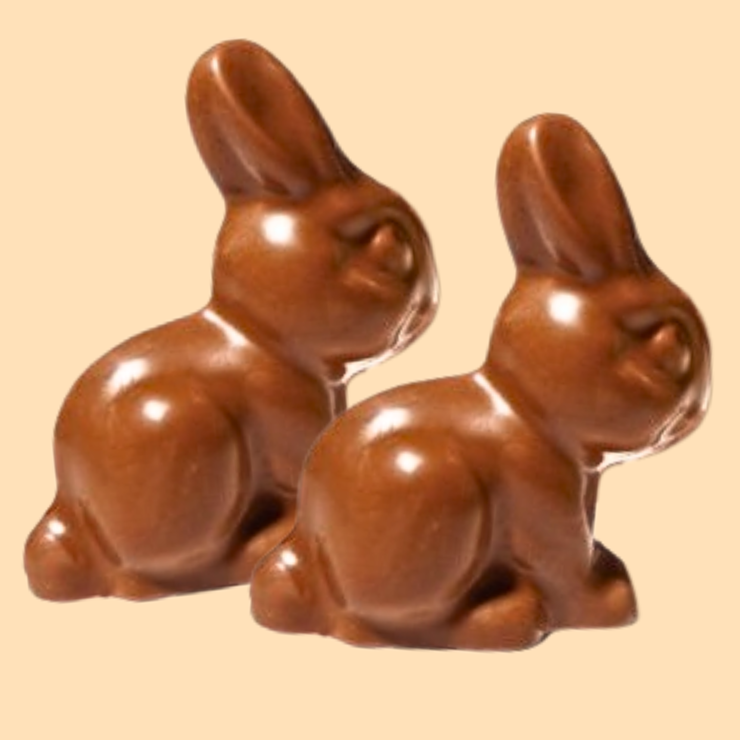 Milk Chocolate Rabbit