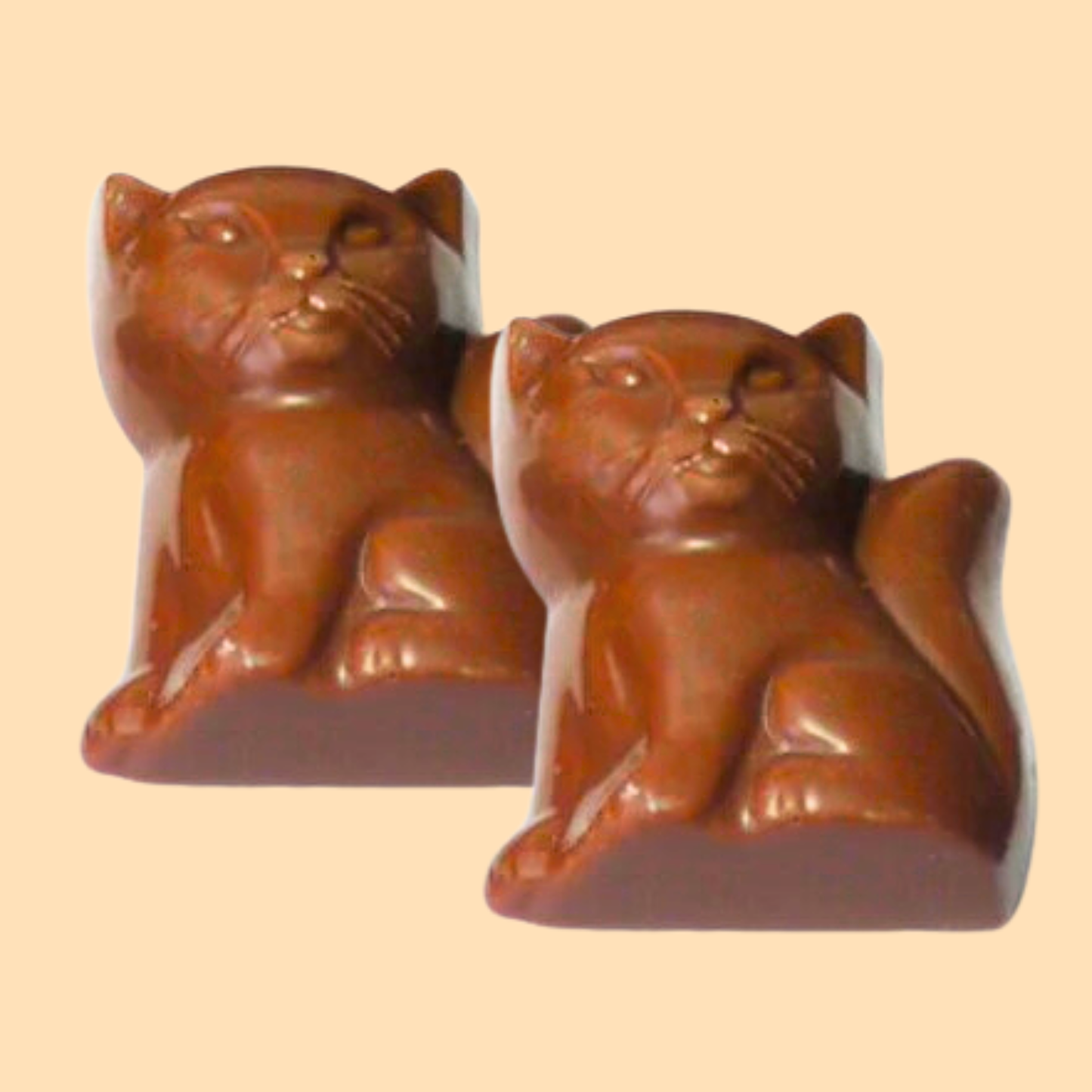 Milk Chocolate Cat